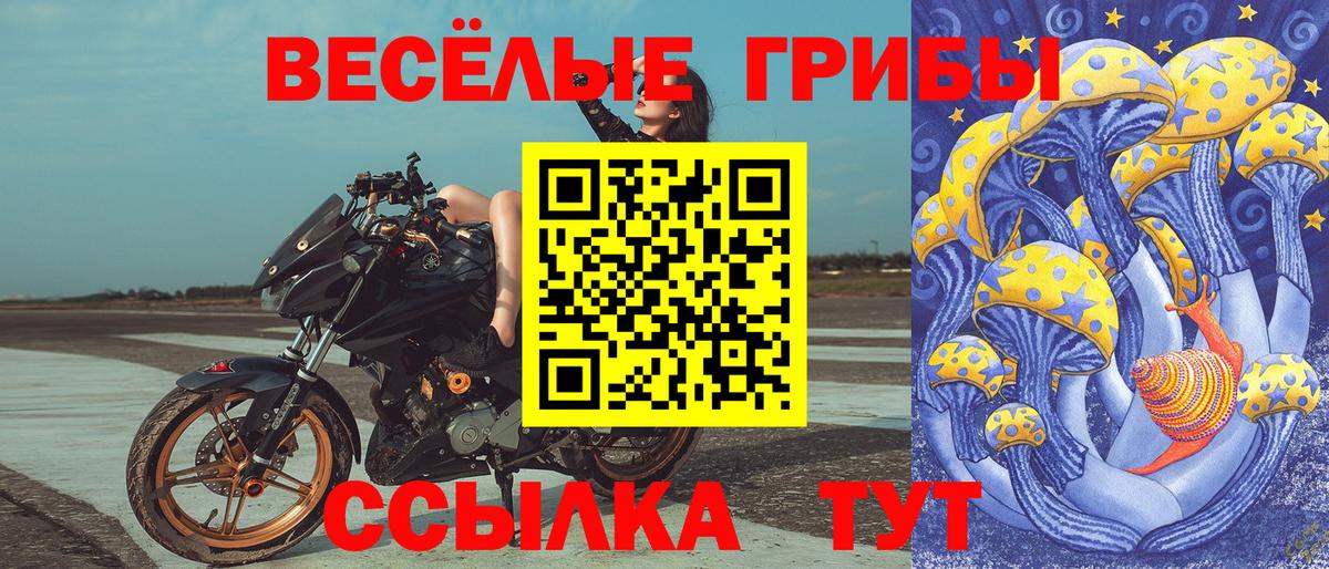 Галлюциногенные грибы мухоморы Вязники
