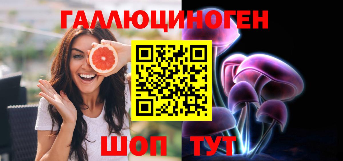 Галлюциногенные грибы Psilocybine cubensis  Вход с VPN  Вязники 